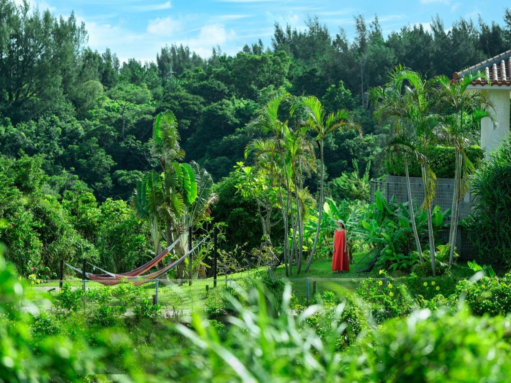 Oriental Hotel Okinawa Resort & Spa Nago Exteriér fotografie A view of the forest from the house